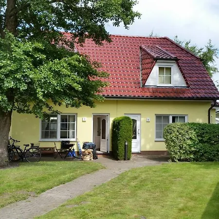Wasserkaefer * Zingst